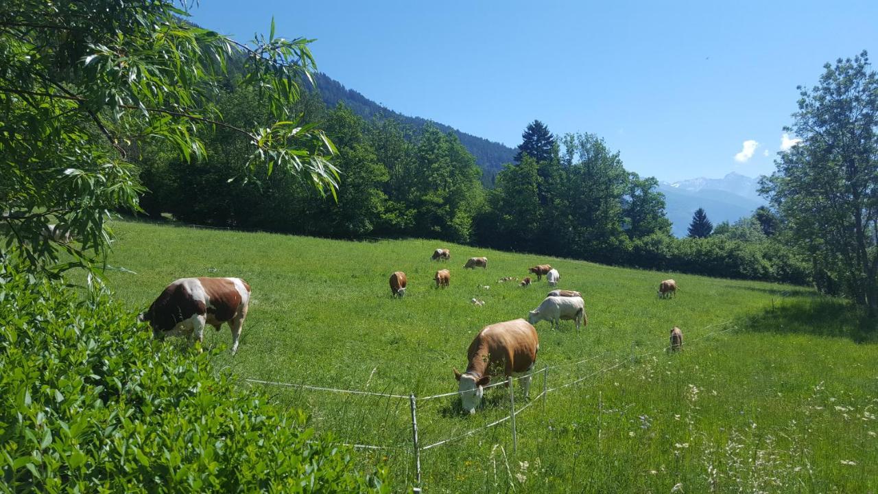 Haus Hasslacher Flattach Esterno foto